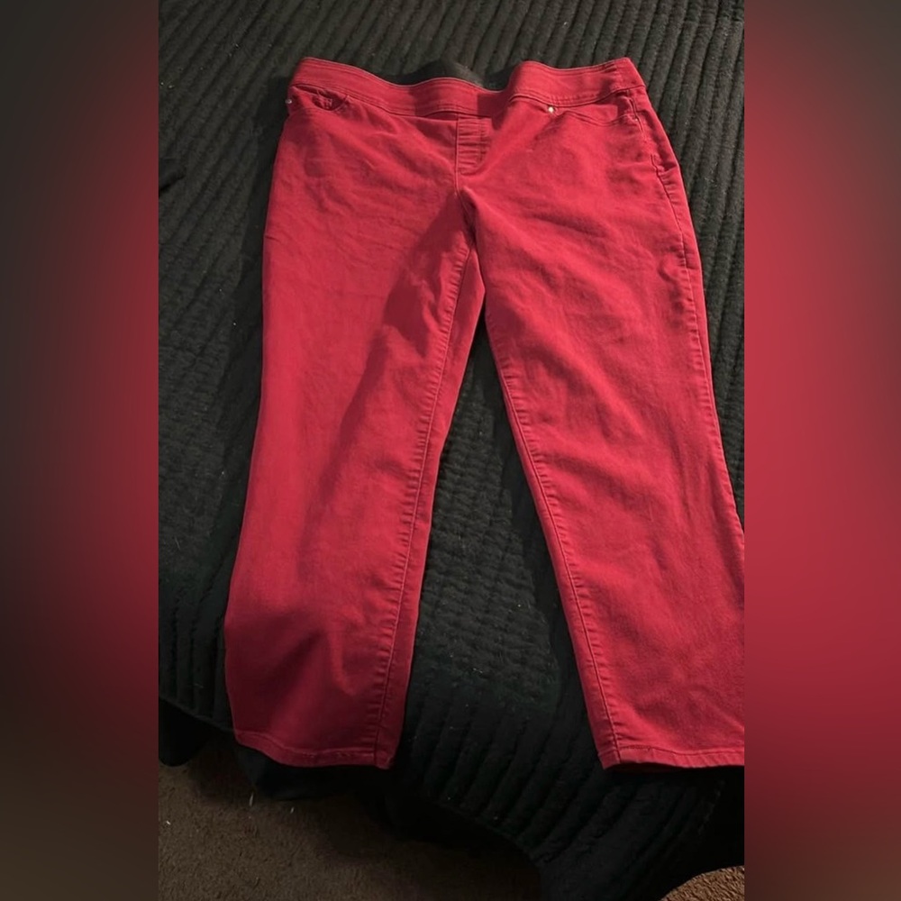 Women’s Pull on Skinny Jeans- 16 Short